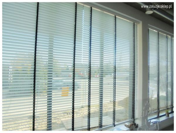 Żaluzje aluminiowe o szerokości 50 mm, doskonałe do regulacji światła.